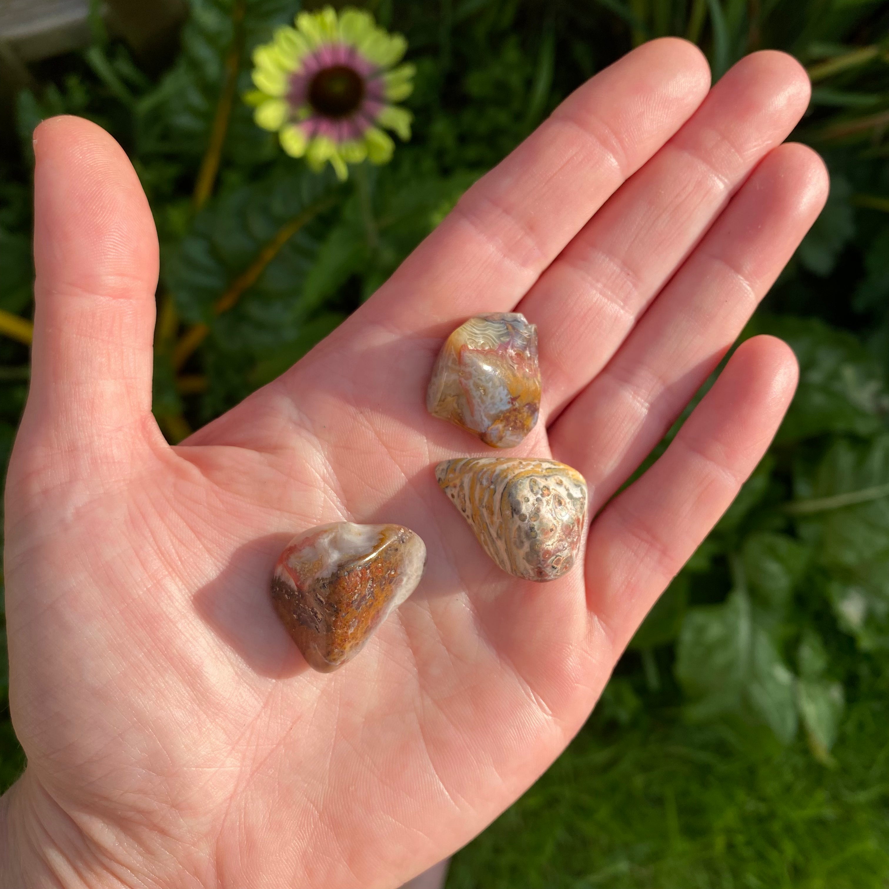 Crazy Lace Agate Tumblestone