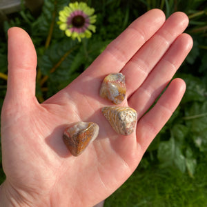 Crazy Lace Agate Tumblestone