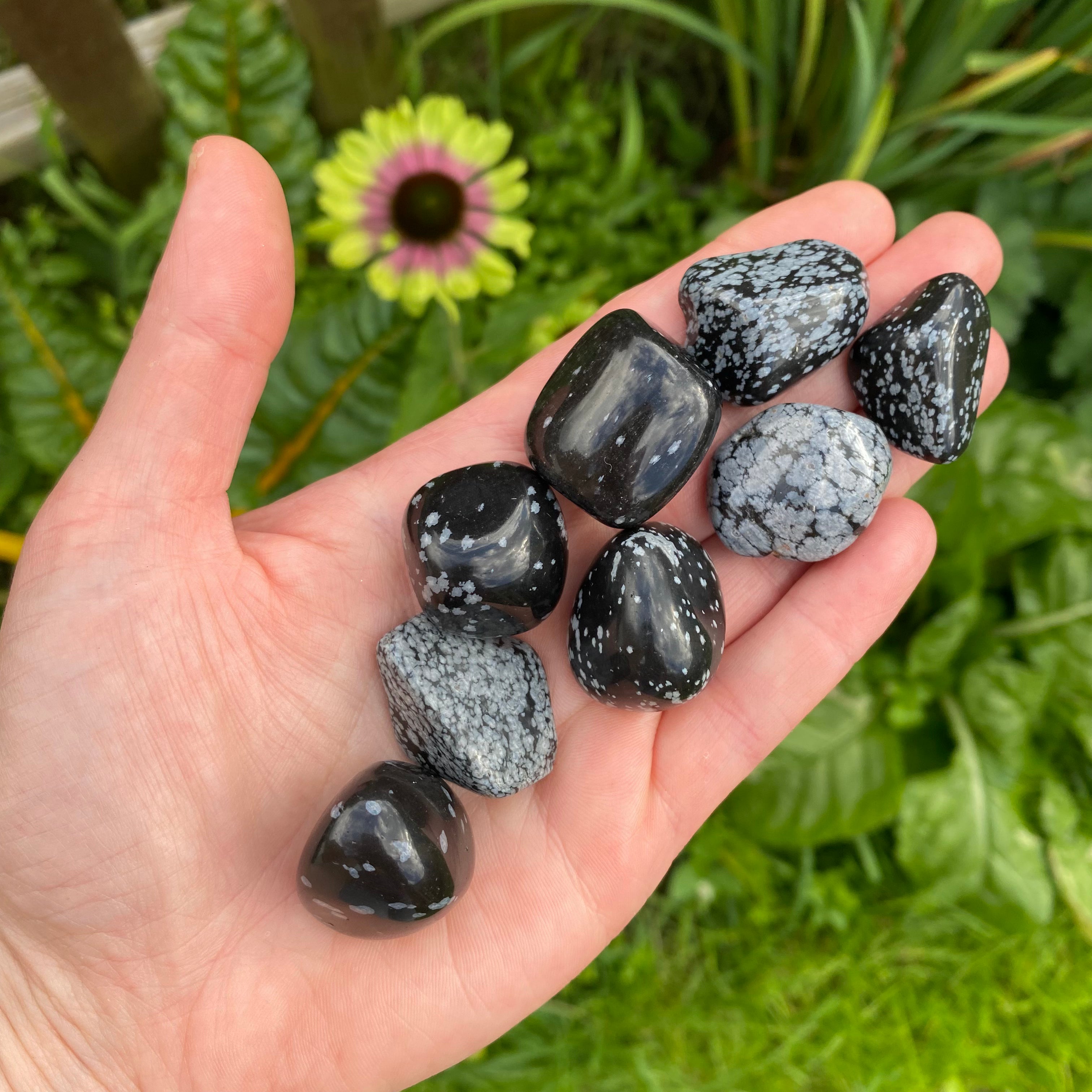 Snowflake Obsidian Tumblestone - ‘A’ grade