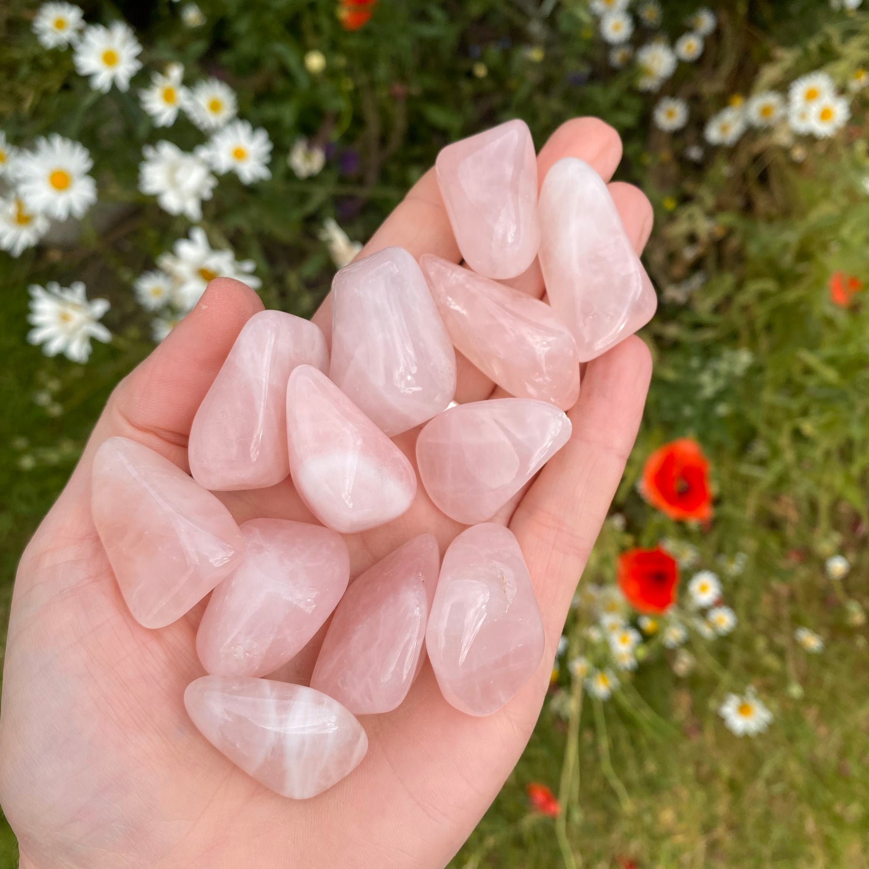 Rose Quartz Tumblestone