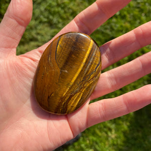 Tigers Eye Palmstone Gemstone