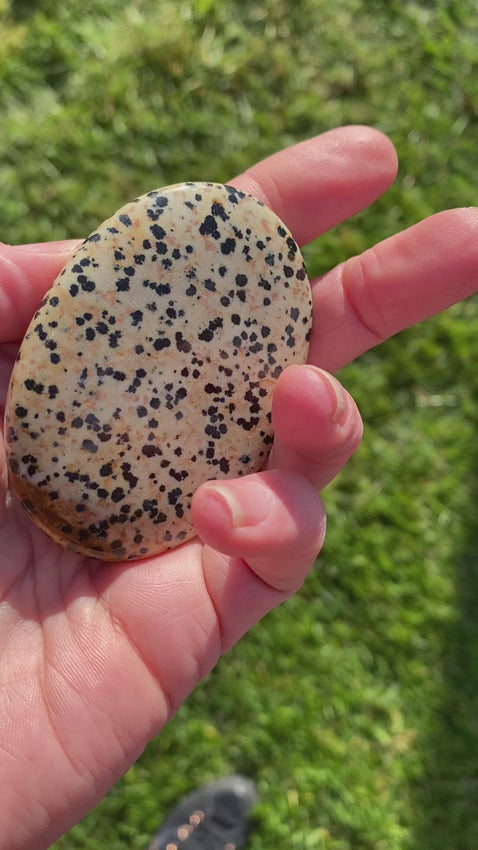 Dalmatian Jasper Palmstone Beige stone with specks of black like leopard print
