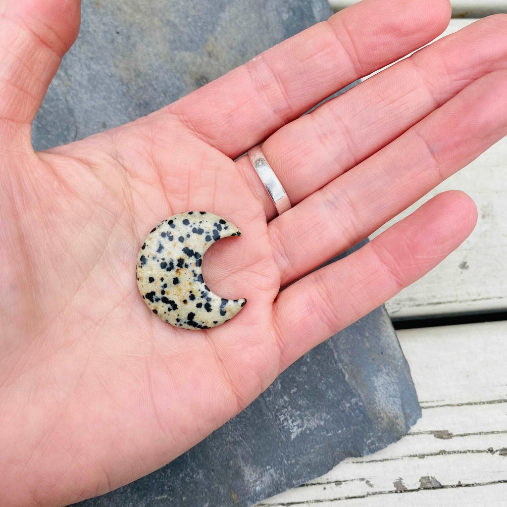 Dalmatian Jasper Crystal Moon