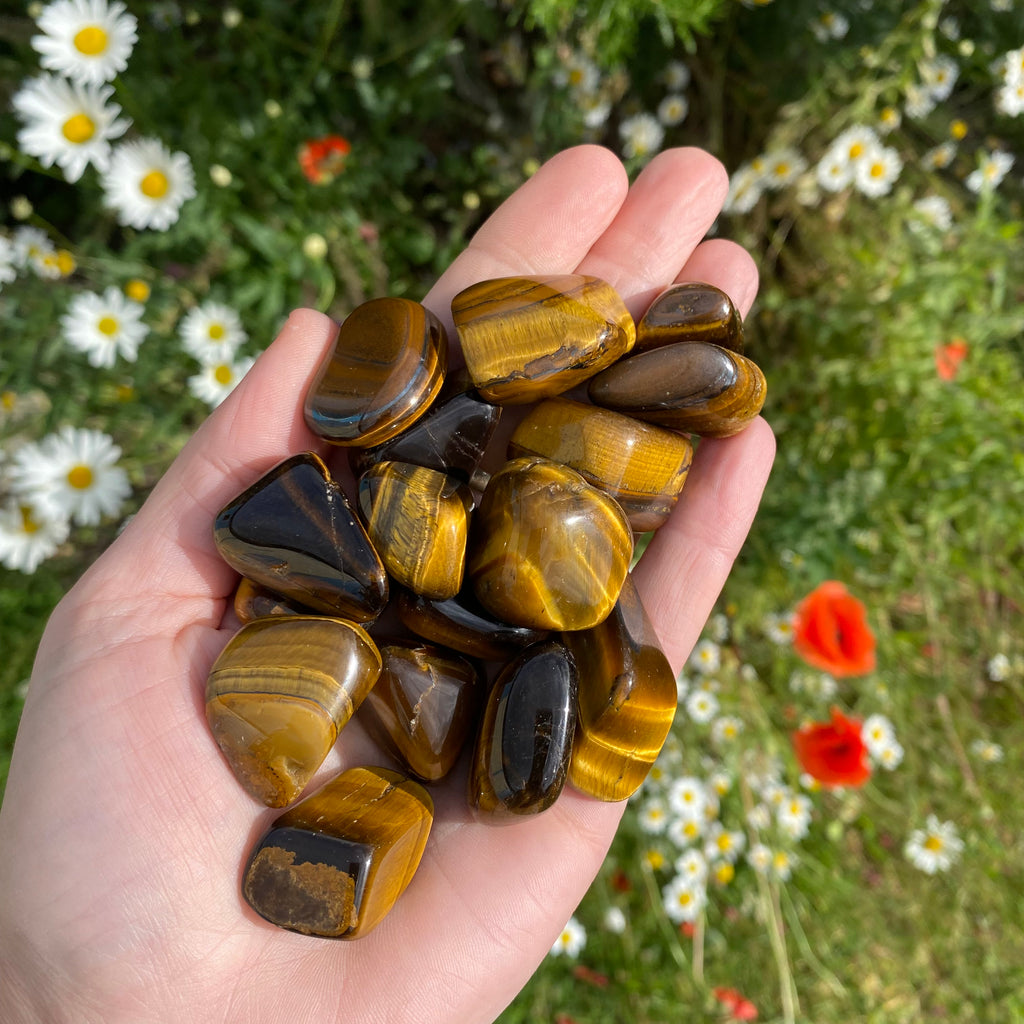 Tigers Eye Tumblestone - Crystal Point Capricorn Gemstone