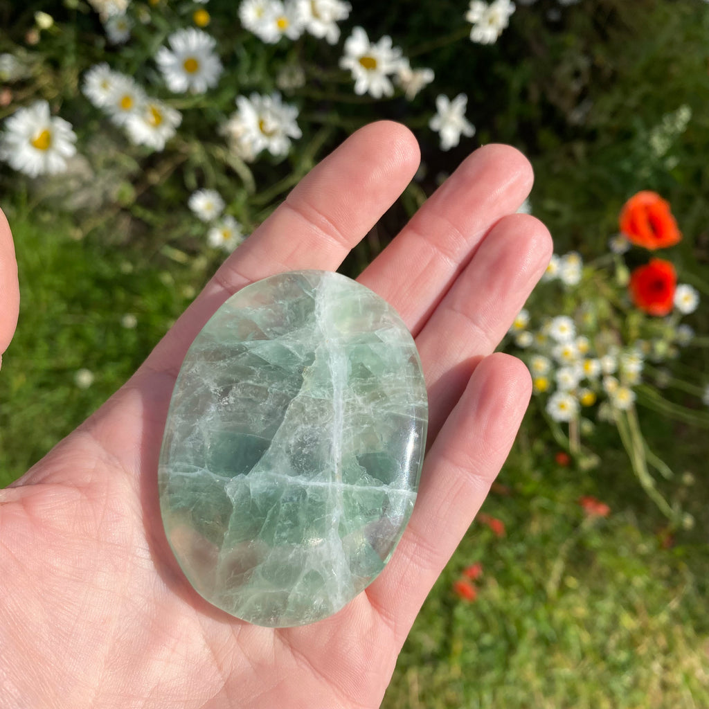 Fluorite Palmstone - Oval Gemstone