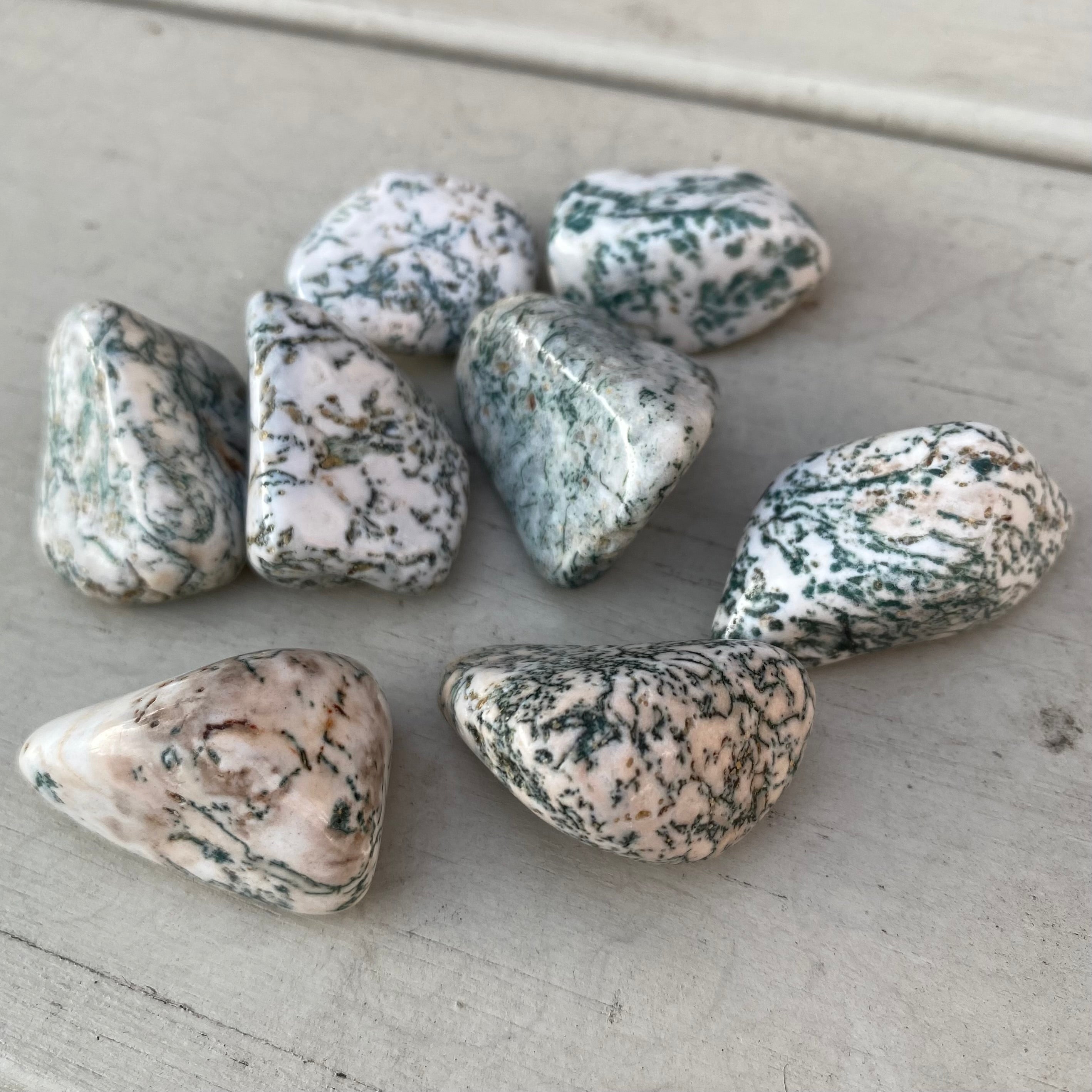 Tree Agate Tumblestone Gemstone