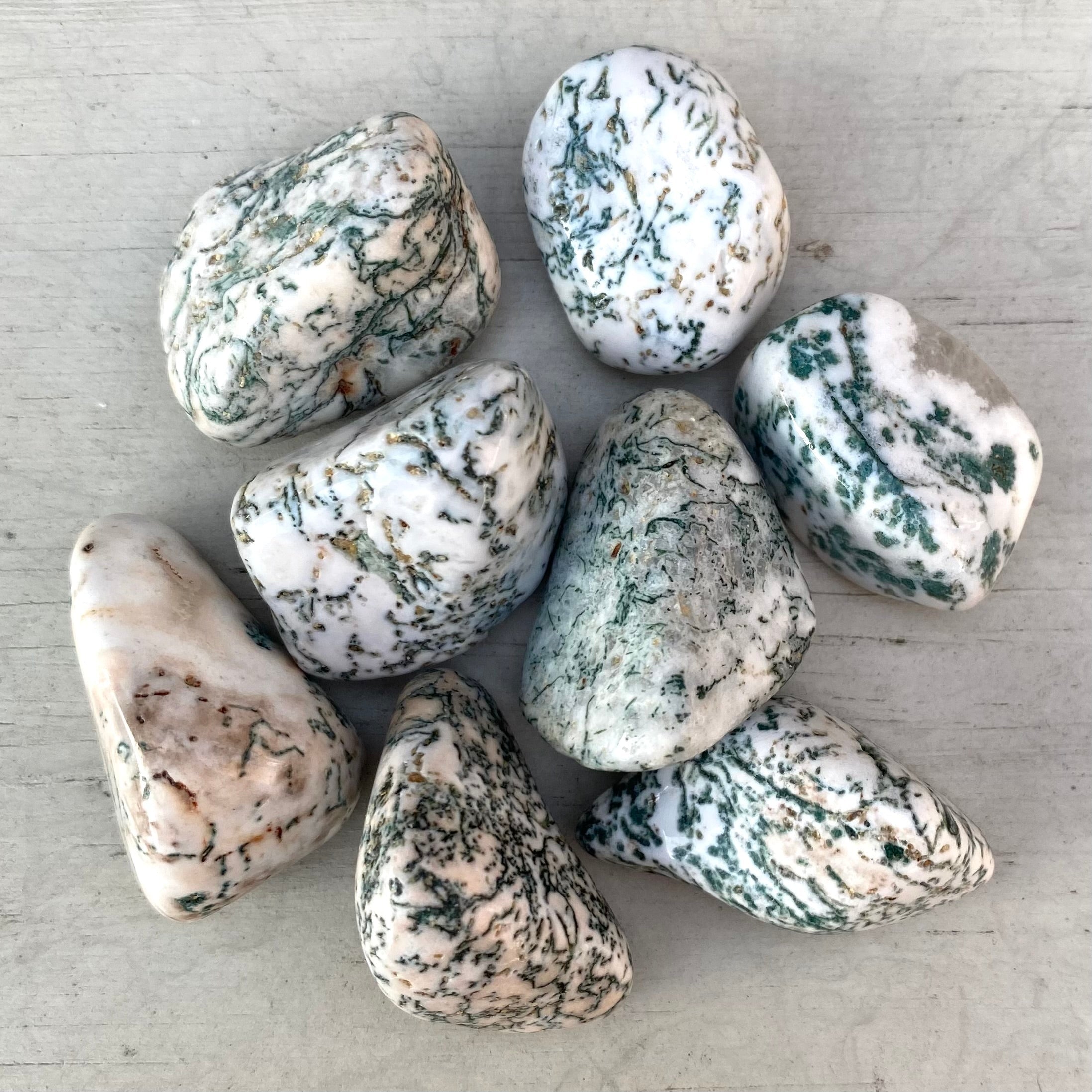 Tree Agate Tumblestone Gemstone